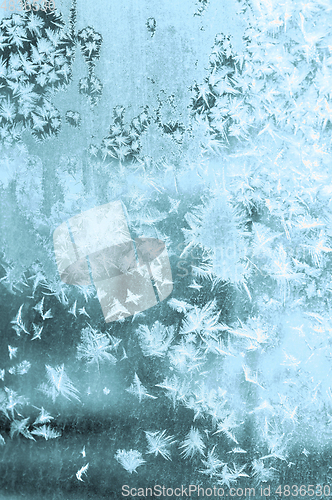 Image of Openwork Snowflakes on Window
