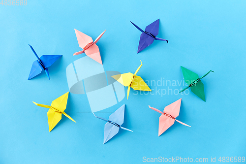 Image of origami paper cranes on blue background