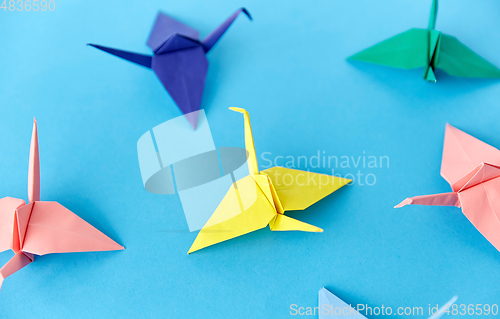 Image of origami paper cranes on blue background