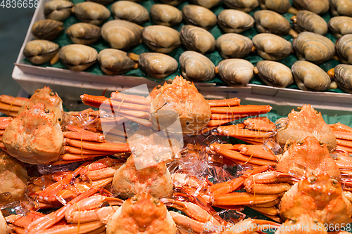 Image of Fresh Clam and snow crab