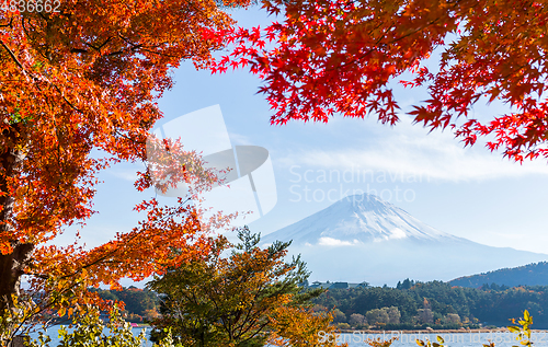 Image of Mt. Fuji and autumn foliage at Lake Kawaguchi