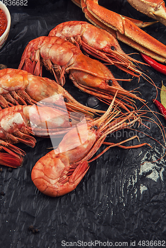 Image of Closeup of far eastern botan shrimp