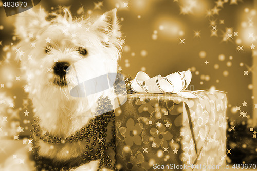 Image of Santa claus