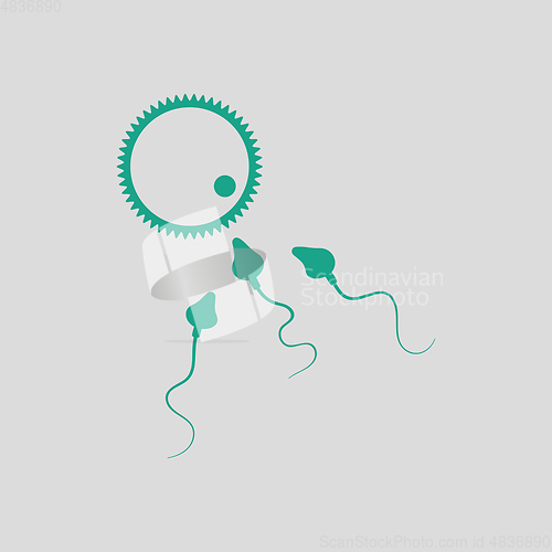 Image of Sperm and egg cell icon