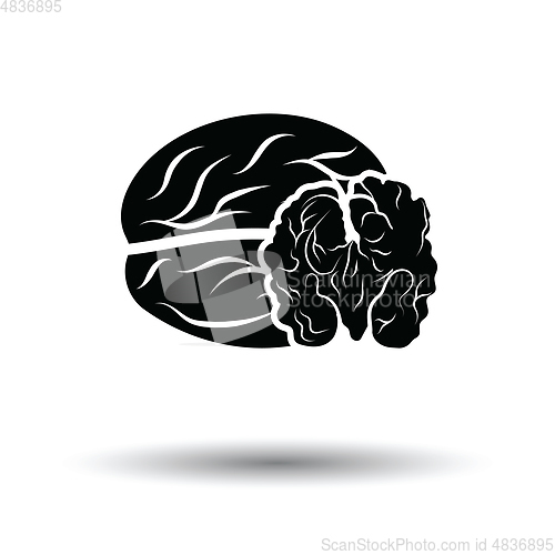 Image of Walnut icon