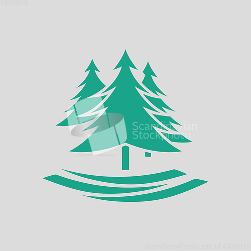 Image of Fir forest  icon