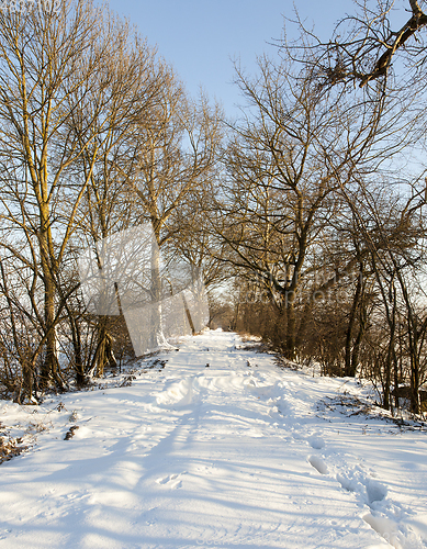 Image of Snow drifts in winter