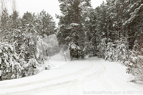 Image of Snow after snowfall
