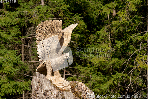 Image of big wooden eagle statue