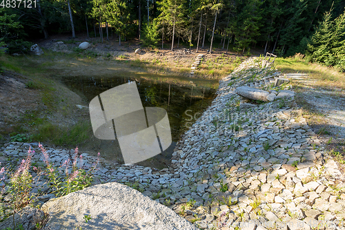 Image of pond in the summer forest