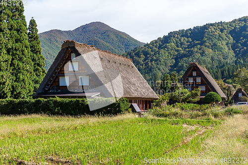 Image of Shirakawa in forest