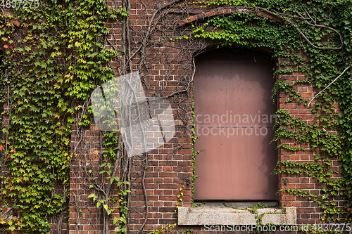 Image of Red brick and creeper architecture