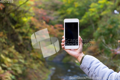 Image of Woman taking cellphone in autumn forest