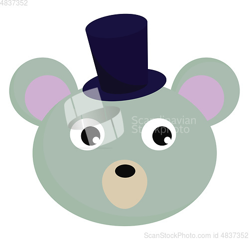 Image of Bear with hat vector or color illustration