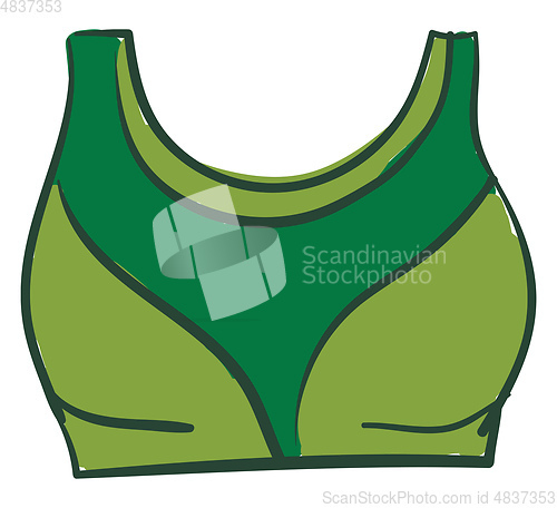Image of A bra in green color vector or color illustration