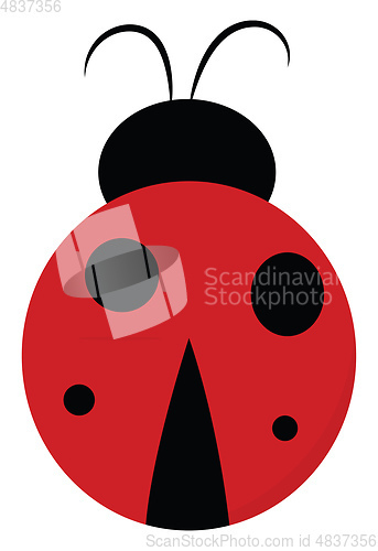 Image of Cute lady bug vector or color illustration