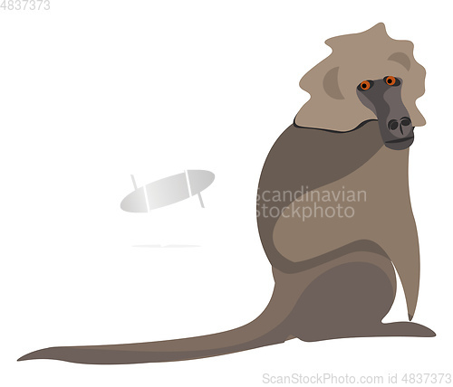 Image of Clipart of a baboon vector or color illustration