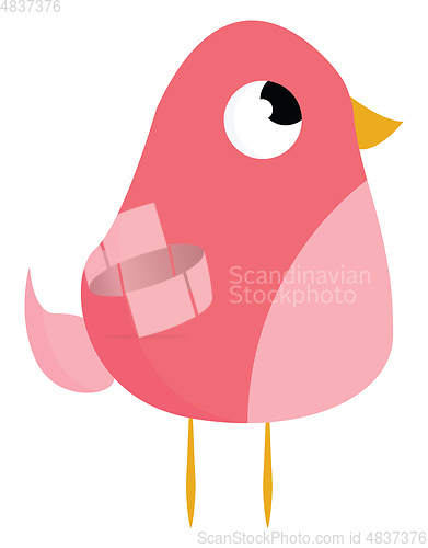 Image of Pink bird with yellow legs vector or color illustration