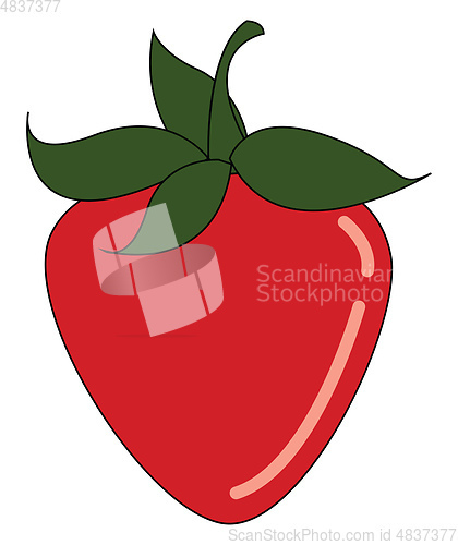 Image of A red strawberry vector or color illustration