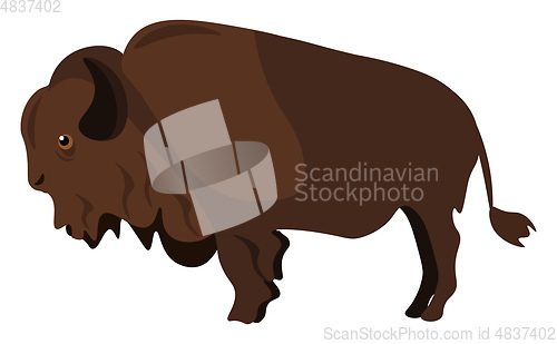 Image of Clipart of a brown bison vector or color illustration