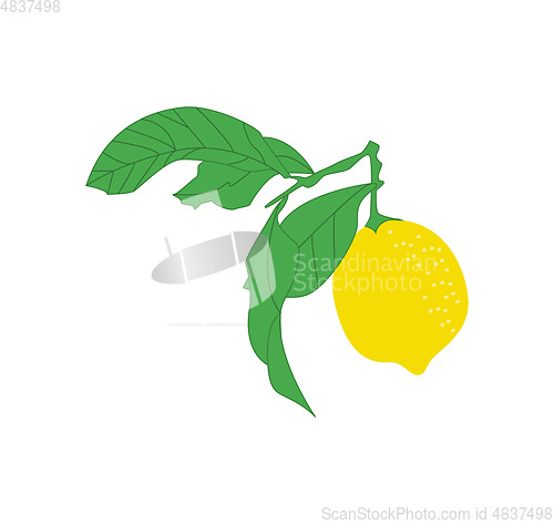 Image of Fresh lemon juice vector or color illustration