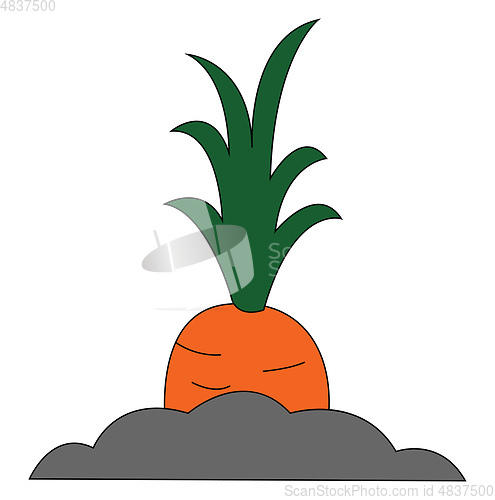 Image of Painting of a giant orange carrot vector or color illustration