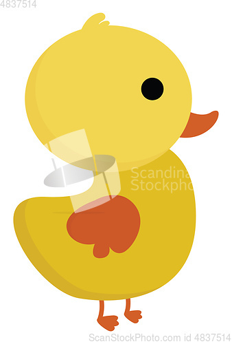 Image of Little chicken vector or color illustration