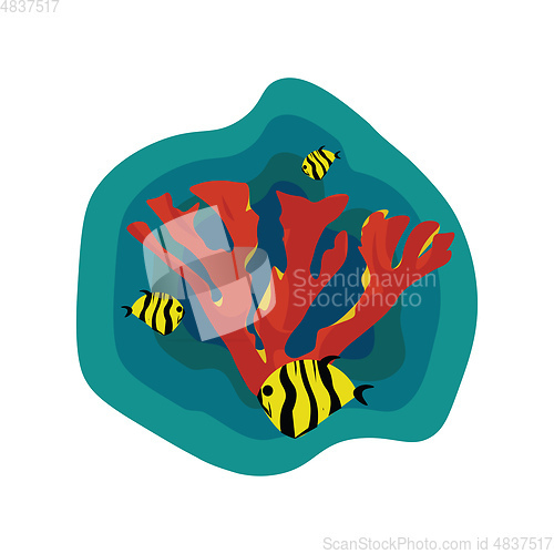 Image of Corals and fish vector or color illustration