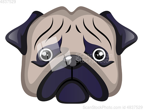 Image of Sad Pug illustration vector on white background