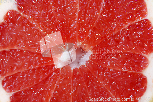 Image of cut grapefruit