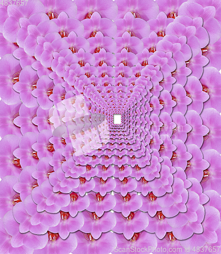 Image of pattern from pink petals of orchid