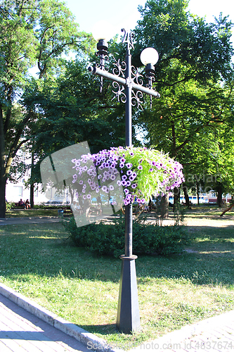 Image of Lanterns in city park with hanging flowers