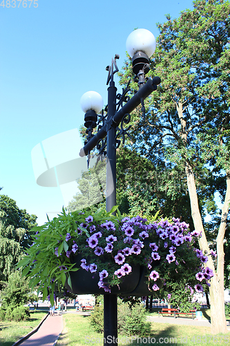 Image of Lanterns in city park with hanging flowers