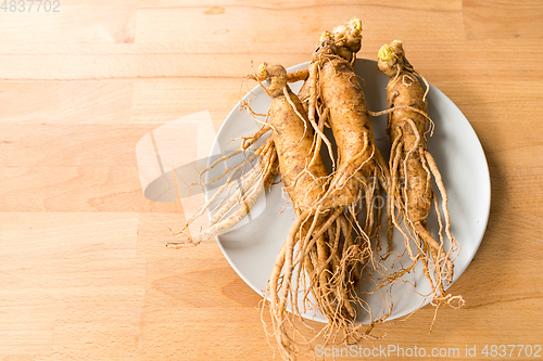 Image of Ginseng on plate