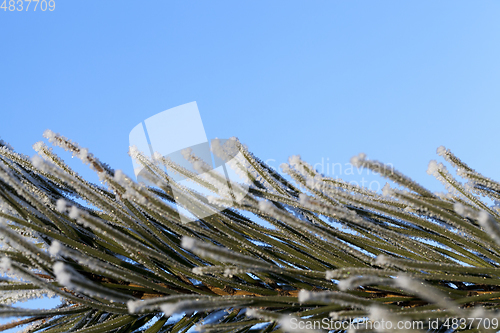 Image of Snow drifts in winter