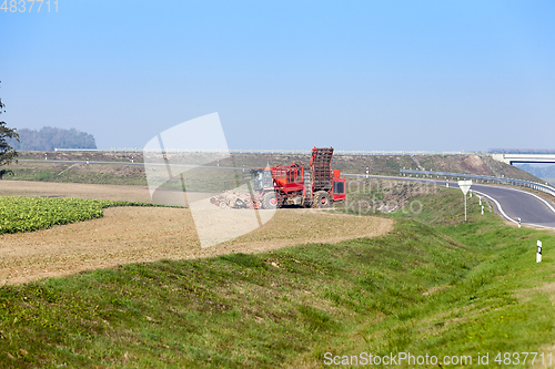 Image of An agricultural field with a crop