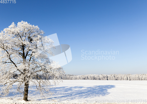 Image of Winter season. Photo