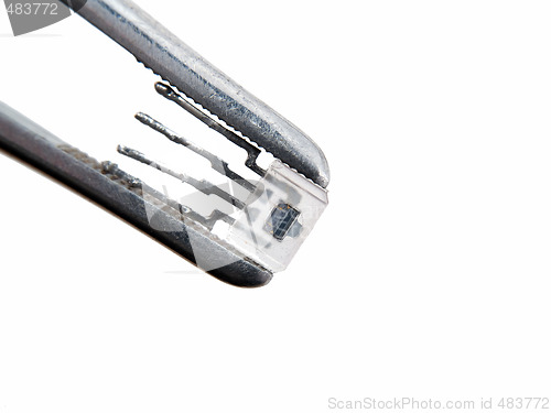 Image of Optron in tweezers