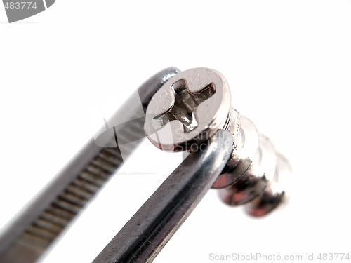 Image of Screw in tweezers