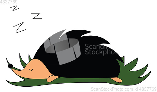 Image of Sleeping hedgehog illustration vector on white background 