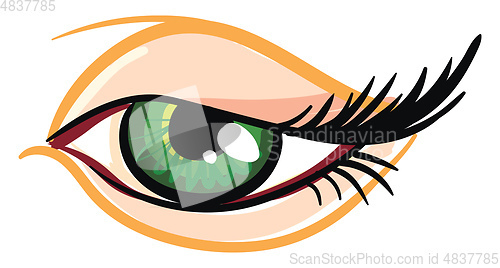Image of Beautiful green female eye 