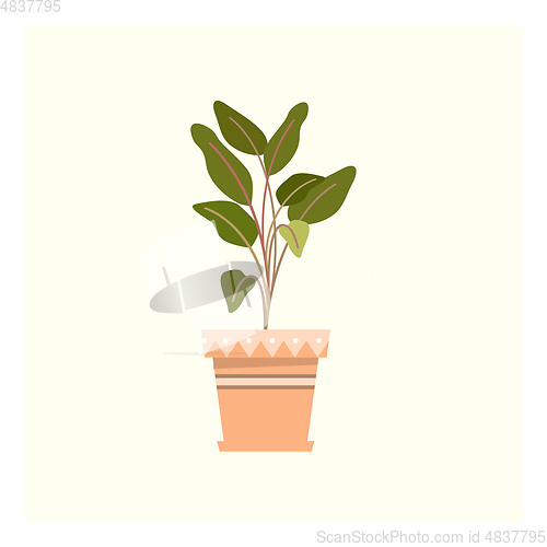 Image of A little green plant vector or color illustration