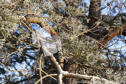 Image of Winter time