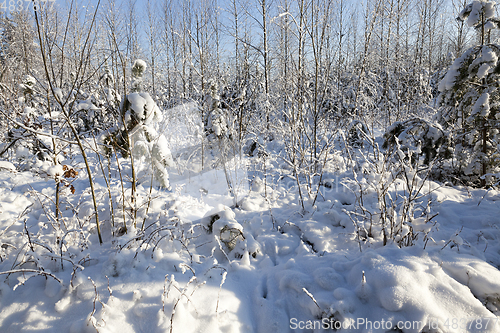 Image of Winter time