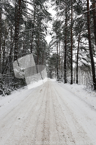 Image of Snow drifts in winter