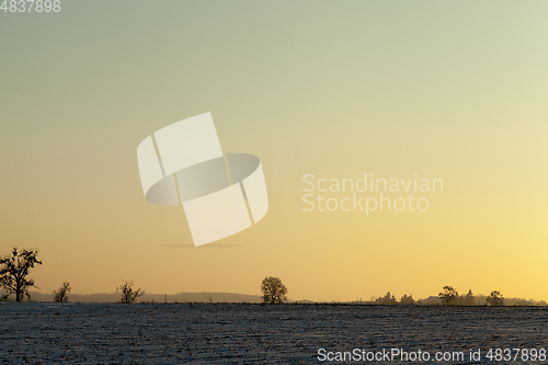 Image of Winter time of the year, close-up