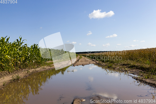 Image of Dirty rural road