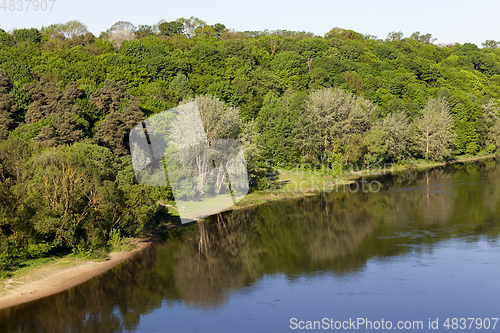 Image of river with mixed forest.