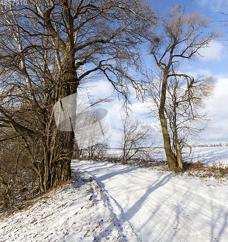 Image of Snow drifts in winter