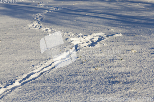 Image of Footprints of a man